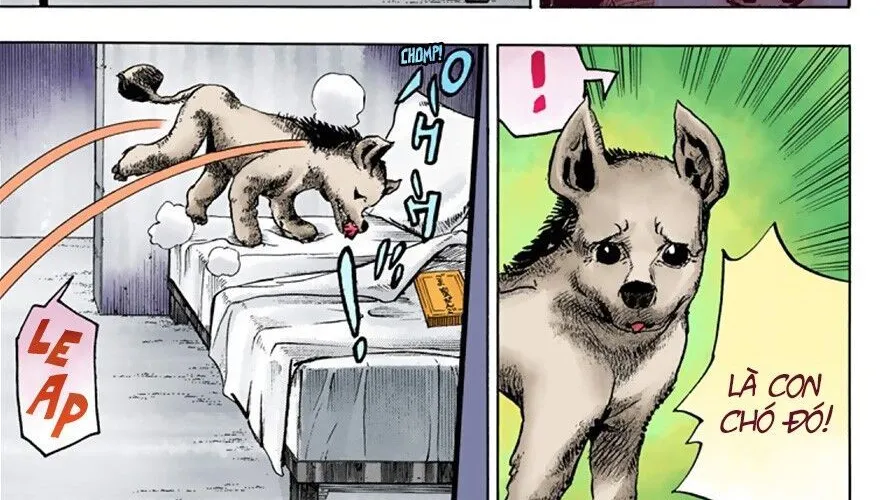 Cuộc Phiêu Lưu Kì Bí Của Jojo Phần 8: Jojolion Chapter 33 - Trang 49