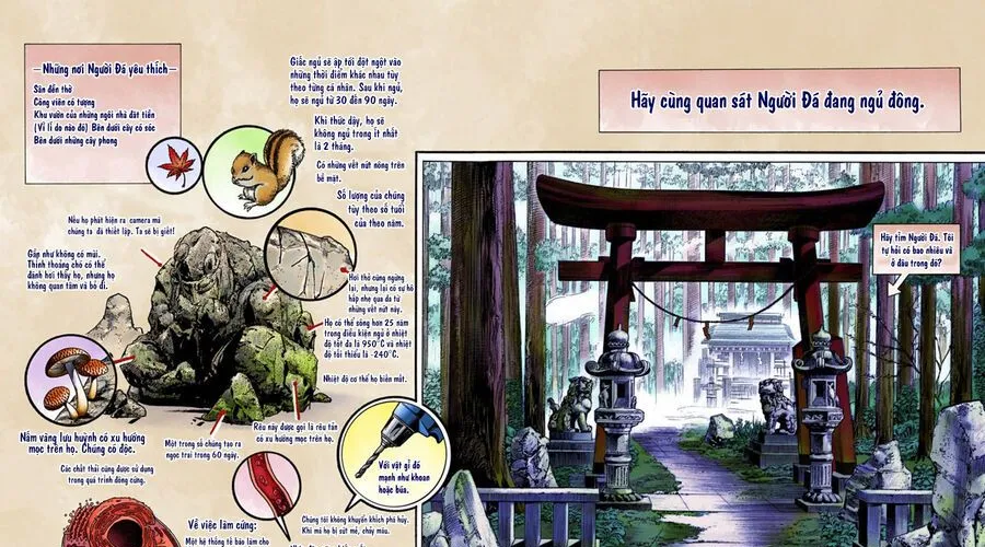 Cuộc Phiêu Lưu Kì Bí Của Jojo Phần 8: Jojolion Chapter 46 - Trang 6