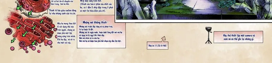 Cuộc Phiêu Lưu Kì Bí Của Jojo Phần 8: Jojolion Chapter 46 - Trang 7