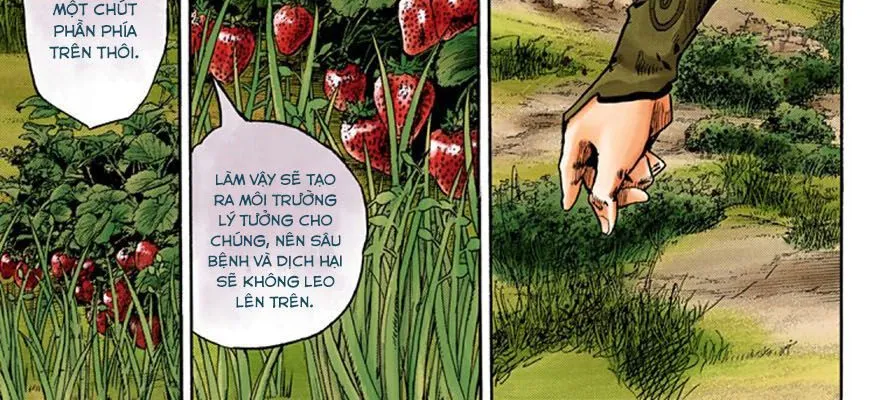 Cuộc Phiêu Lưu Kì Bí Của Jojo Phần 8: Jojolion Chapter 66 - Trang 23