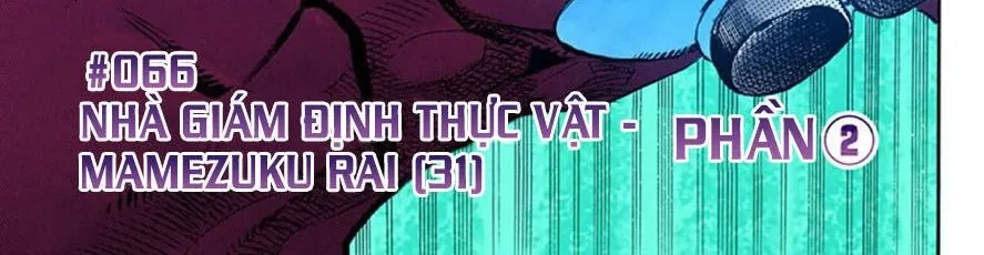 Cuộc Phiêu Lưu Kì Bí Của Jojo Phần 8: Jojolion Chapter 66 - Trang 5