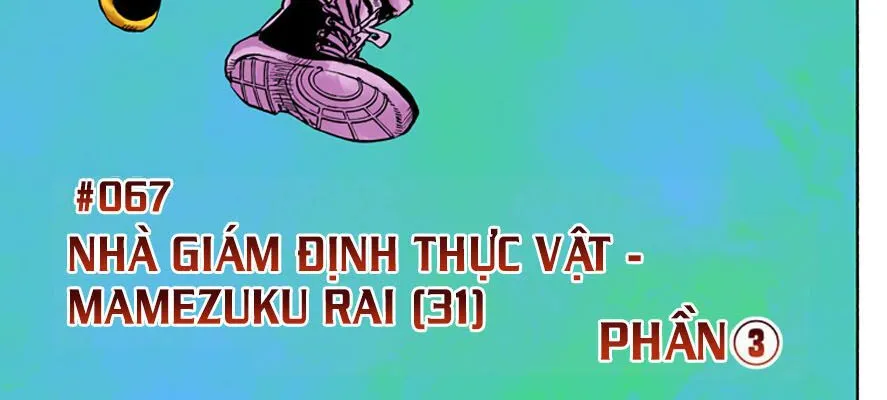 Cuộc Phiêu Lưu Kì Bí Của Jojo Phần 8: Jojolion Chapter 67 - Trang 18