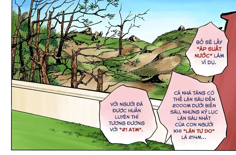 Cuộc Phiêu Lưu Kì Bí Của Jojo Phần 8: Jojolion Chapter 74 - Trang 18