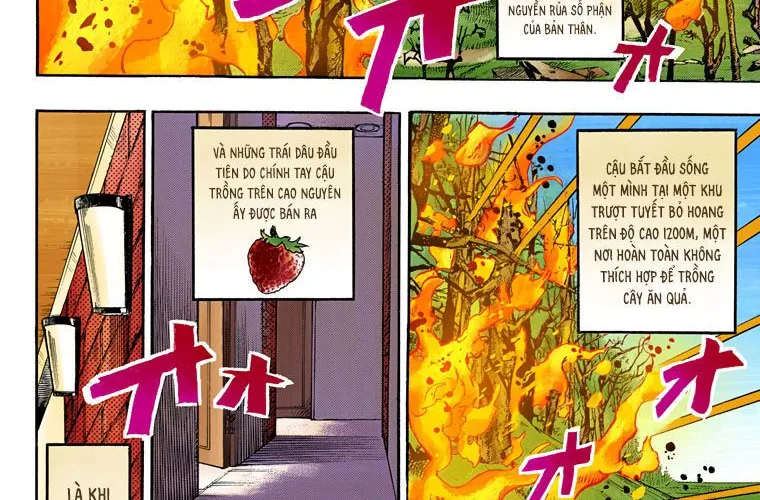 Cuộc Phiêu Lưu Kì Bí Của Jojo Phần 8: Jojolion Chapter 75 - Trang 24