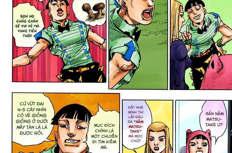 Cuộc Phiêu Lưu Kì Bí Của Jojo Phần 8: Jojolion Chapter 77 - Trang 31
