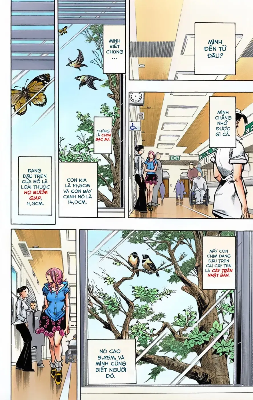 Cuộc Phiêu Lưu Kỳ Bí của JoJo Phần 8: Jojolion Chapter 2 - Trang 5