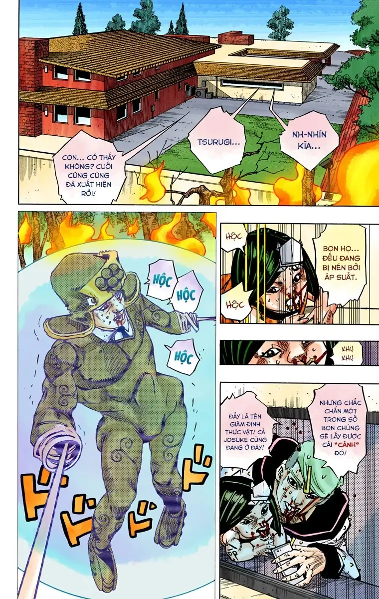 Cuộc Phiêu Lưu Kỳ Bí của JoJo Phần 8: Jojolion Chapter 75 - Trang 13