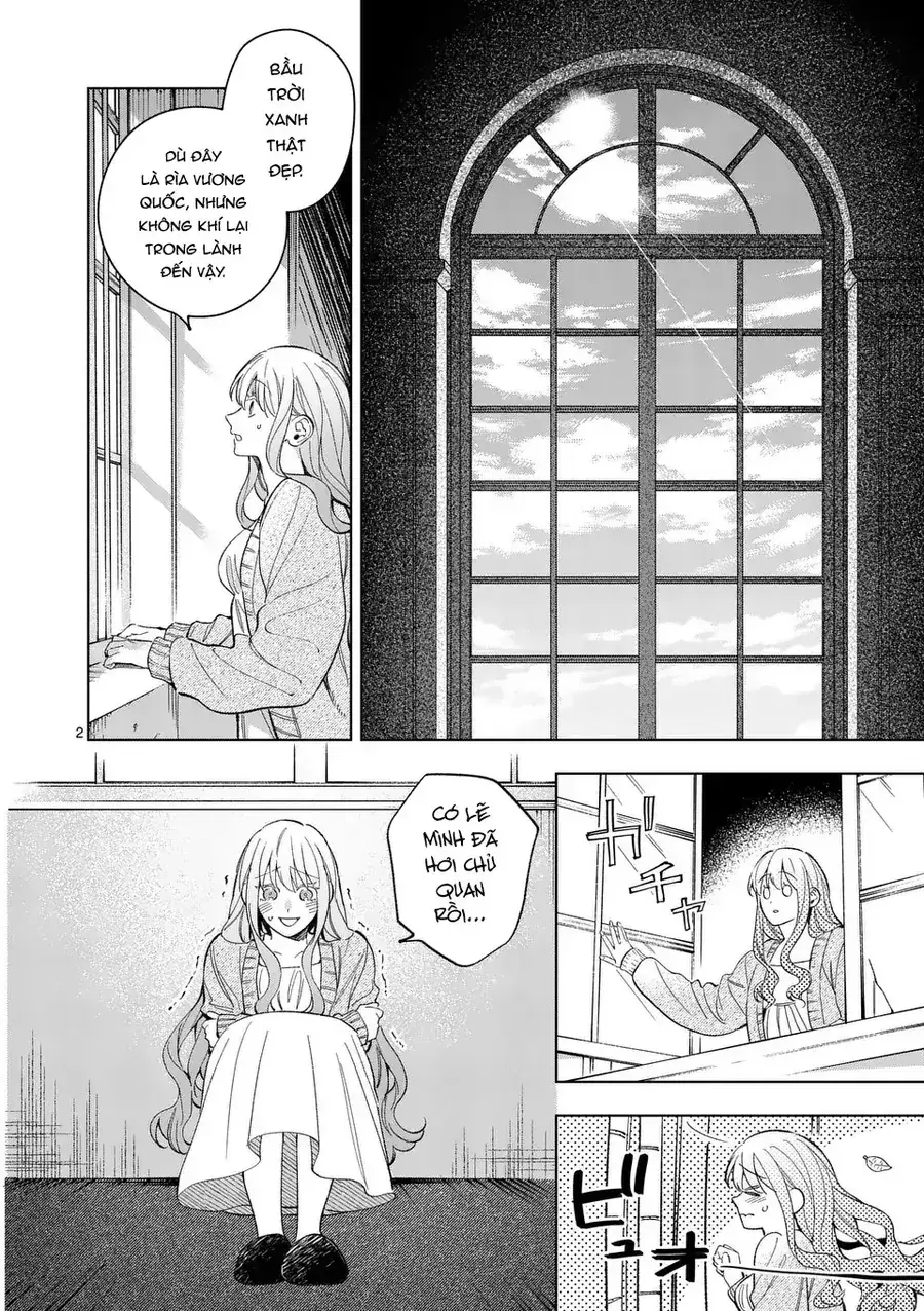 Cuộc Sống Thú Vị Của Tiểu Thư Sau Khi Bị Ly Hôn Chapter 18 - Trang 3