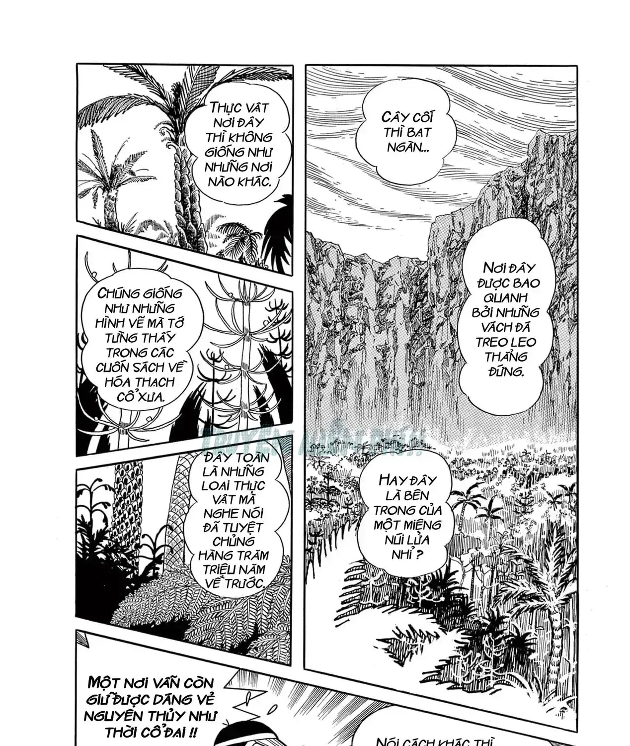 Cuốn Từ Điển Kỳ Bí - Đại Tuyển Tập Chapter 2 - Trang 20