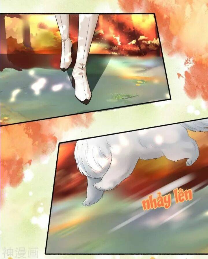 Cuồng Phi Phách Lối Chapter 70 - Trang 4