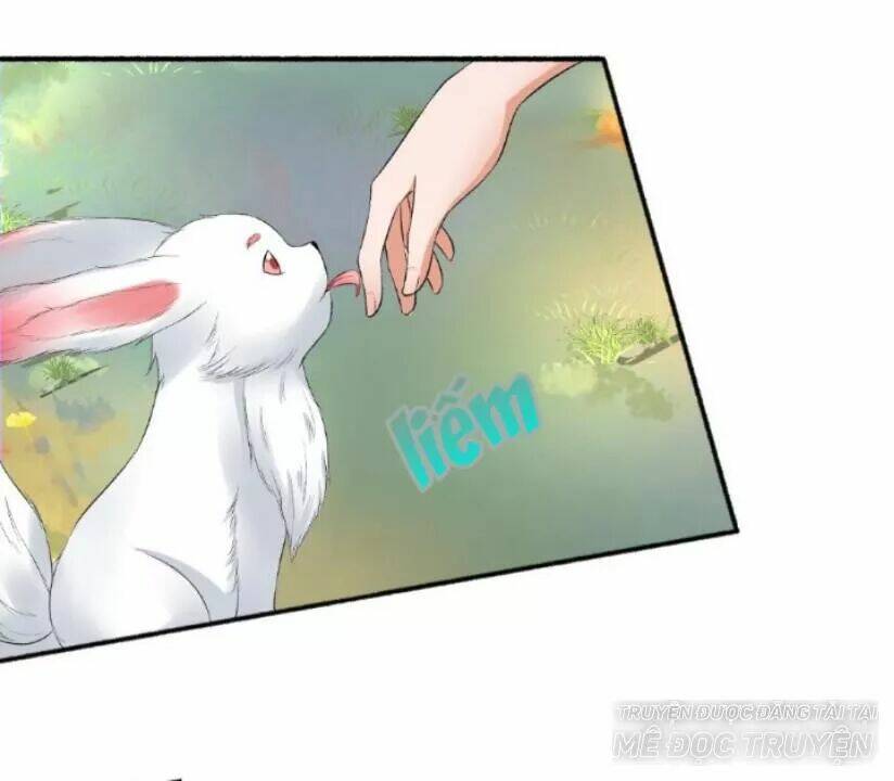 Cuồng Phi Phách Lối Chapter 71 - Trang 7