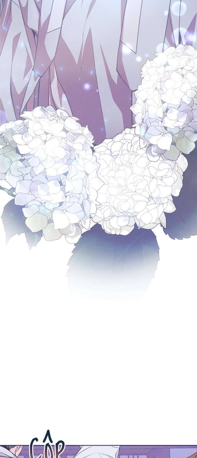 Dabi, Hương Vị Ngây Ngất Chapter 11 - Trang 3