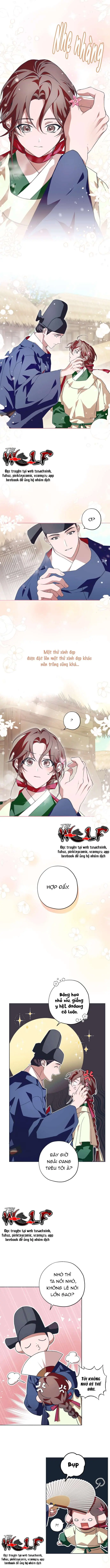 Dabi, Hương Vị Ngây Ngất Chapter 23 - Trang 8