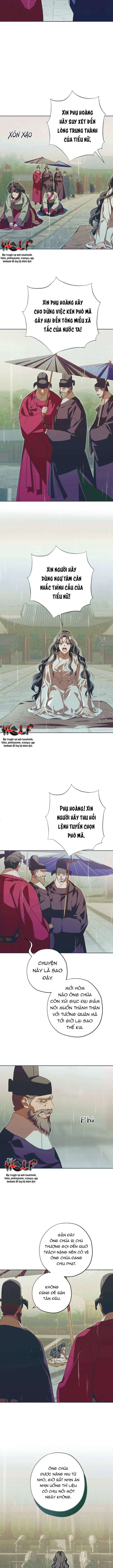 Dabi, Hương Vị Ngây Ngất Chapter 75 - Trang 11