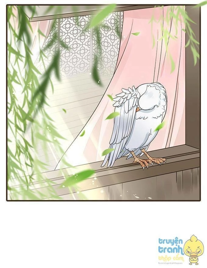 Đại Giá Thừa Tướng Chapter 17 - Trang 14