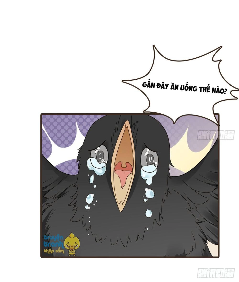 Đại Giá Thừa Tướng Chapter 66 - Trang 45