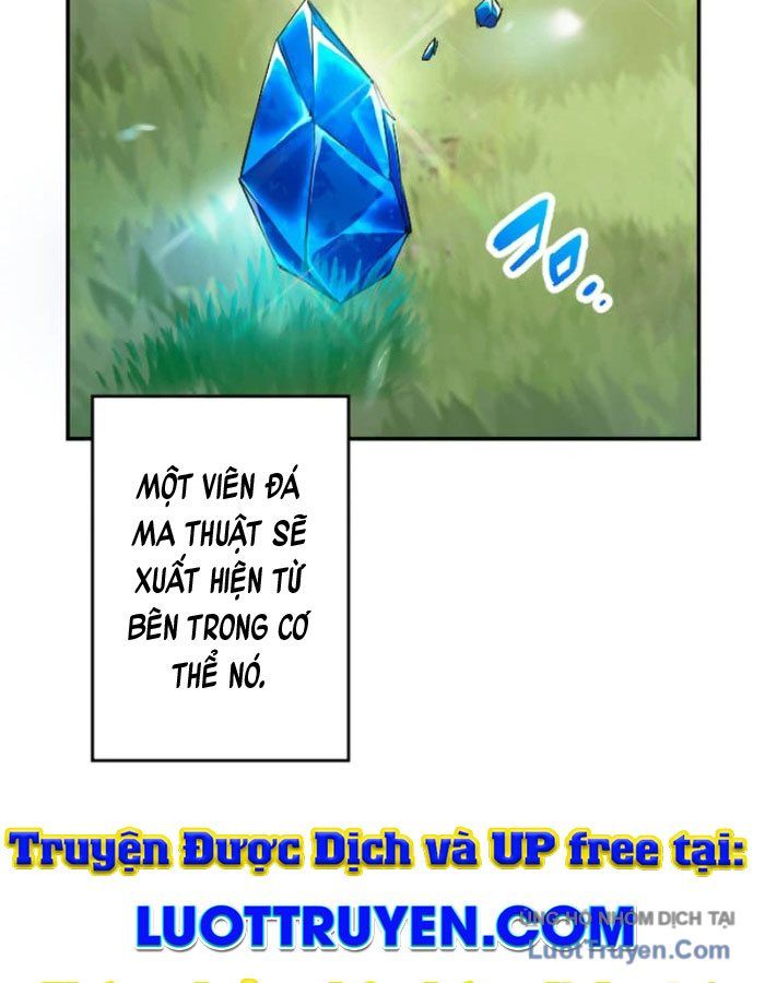 Đại Hiền Giả Sở Hữu Trăm Ma Thạch Chapter 1 - Trang 13