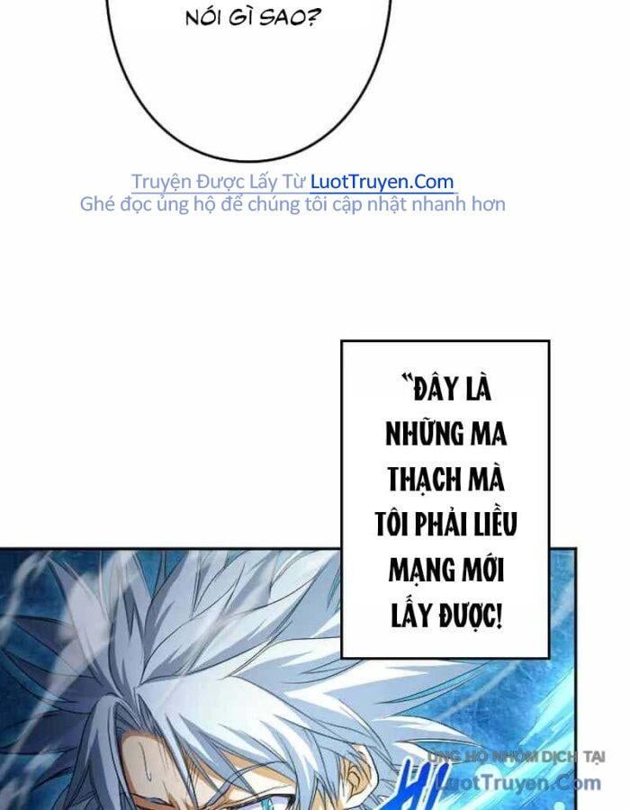 Đại Hiền Giả Sở Hữu Trăm Ma Thạch Chapter 4 - Trang 11