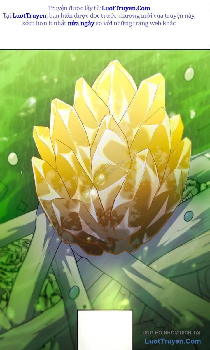 Đại Hiền Giả Sở Hữu Trăm Ma Thạch Chapter 8 - Trang 19