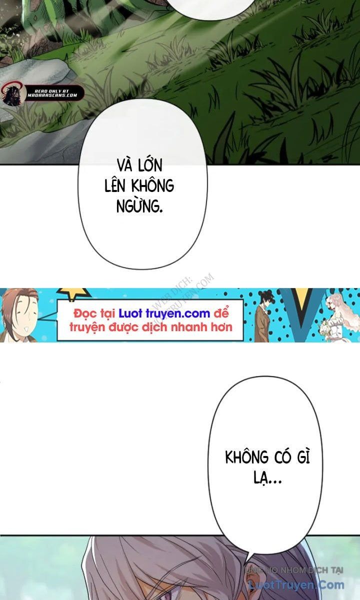 Đại Hiền Giả Sở Hữu Trăm Ma Thạch Chapter 8 - Trang 4