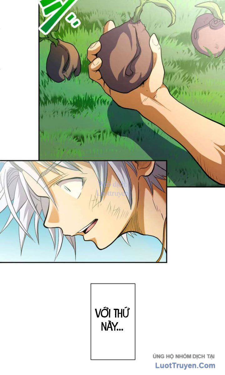 Đại Hiền Giả Sở Hữu Trăm Ma Thạch Chapter 9 - Trang 9