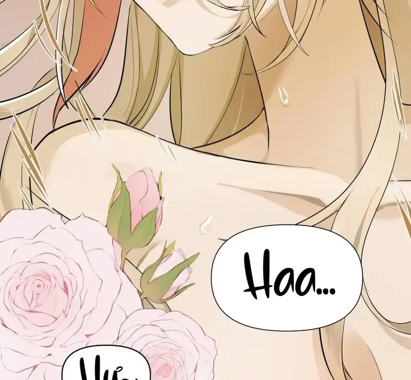 Đại Lão, Đầu Của Ngài Lại Rớt Rồi - Pheromone Chapter 1 - Trang 50