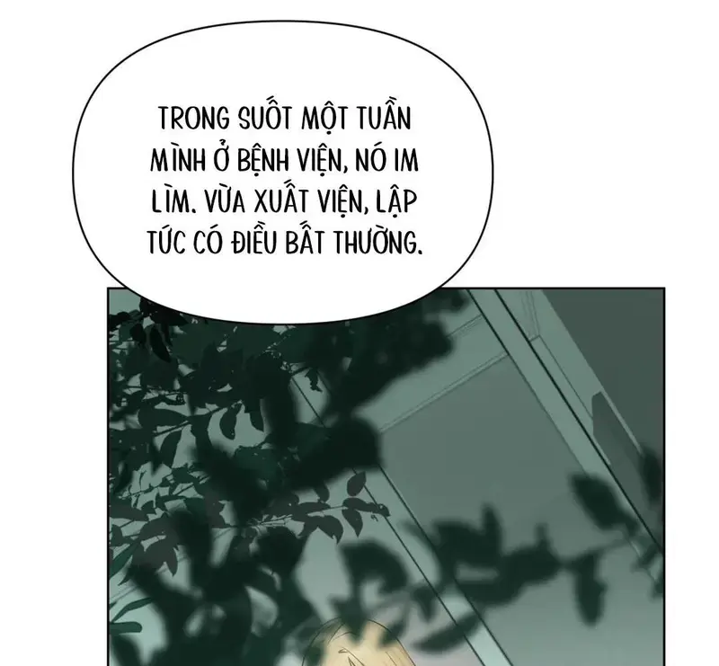 Đại Lão, Đầu Của Ngài Lại Rớt Rồi - Pheromone Chapter 11 - Trang 17