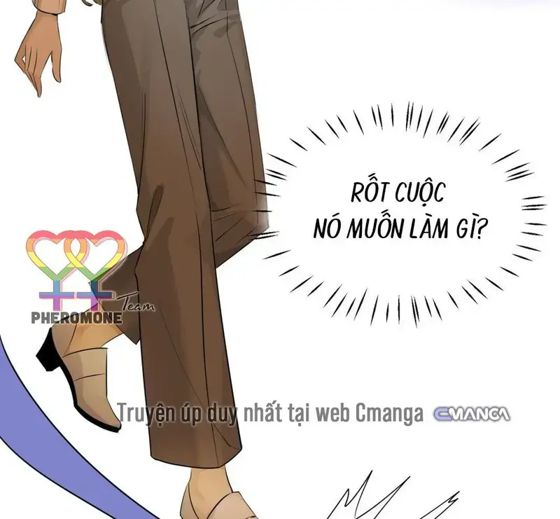 Đại Lão, Đầu Của Ngài Lại Rớt Rồi - Pheromone Chapter 11 - Trang 43