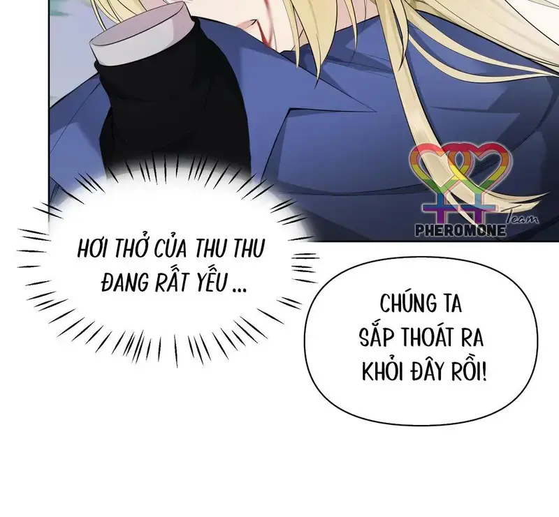 Đại Lão, Đầu Của Ngài Lại Rớt Rồi - Pheromone Chapter 14 - Trang 26