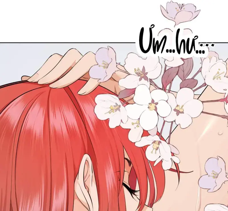 Đại Lão, Đầu Của Ngài Lại Rớt Rồi - Pheromone Chapter 17 - Trang 17