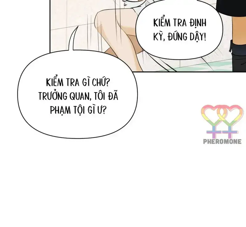 Đại Lão, Đầu Của Ngài Lại Rớt Rồi - Pheromone Chapter 6 - Trang 12