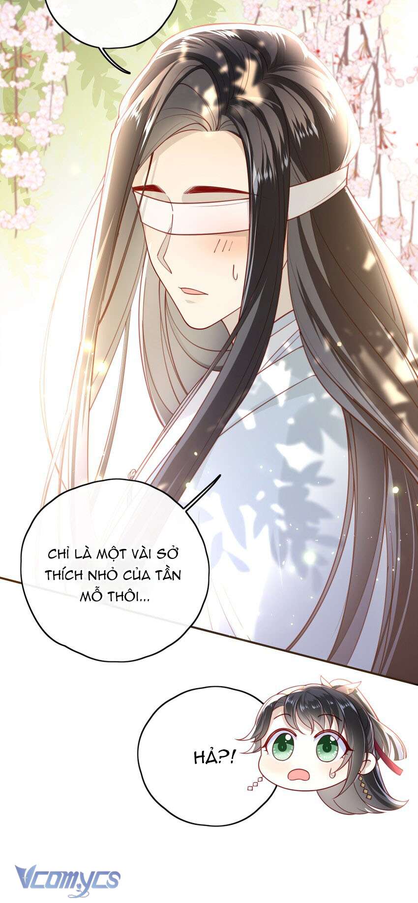 Đại Lão Phải Gả Cho Phu Quân Mù! Chapter 12 - Trang 17