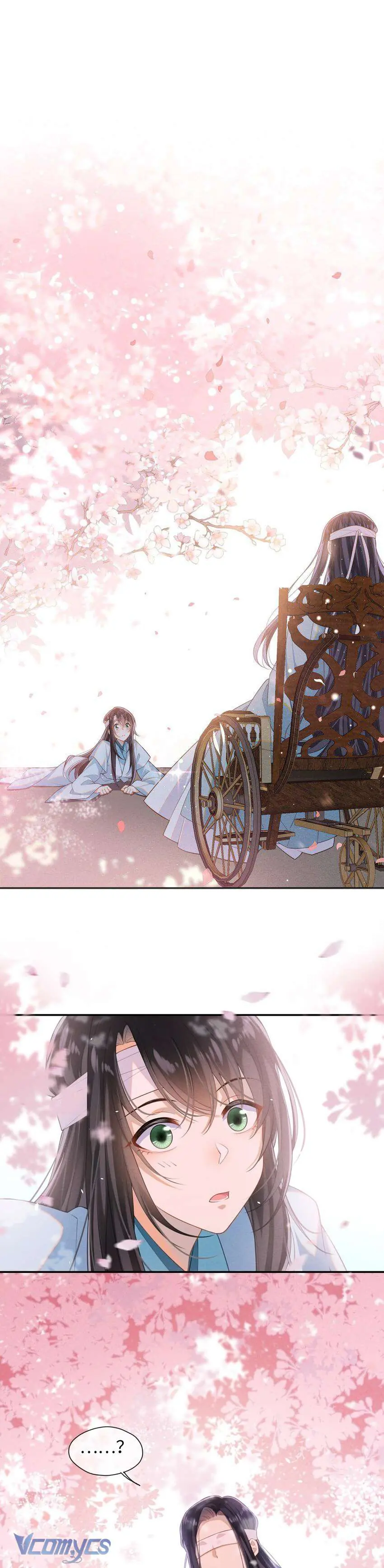 Đại Lão Phải Gả Cho Phu Quân Mù! Chapter 2 - Trang 3