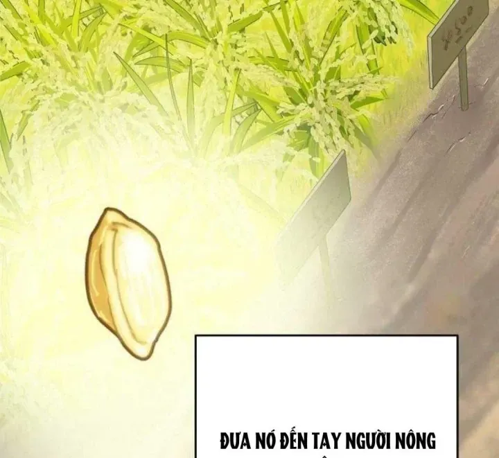 Đại Tài Phiệt Chân Chính Chỉ Có Mình Tôi Chapter 17 - Trang 4