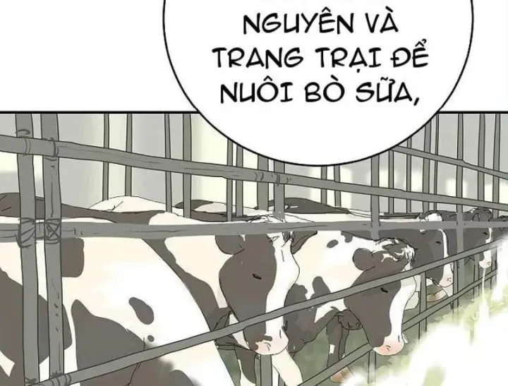 Đại Tài Phiệt Chân Chính Chỉ Có Mình Tôi Chapter 22 - Trang 38