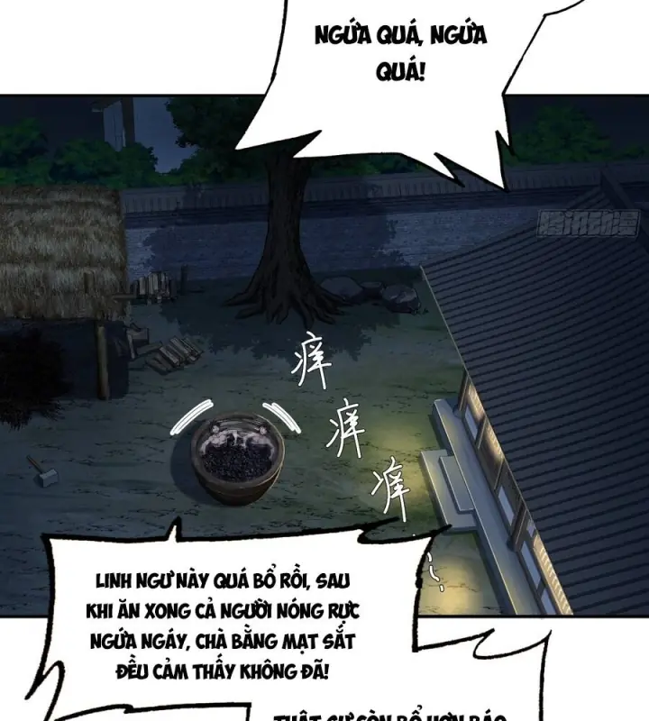 Đạo Gia Phải Phi Thăng Chapter 31 - Trang 3