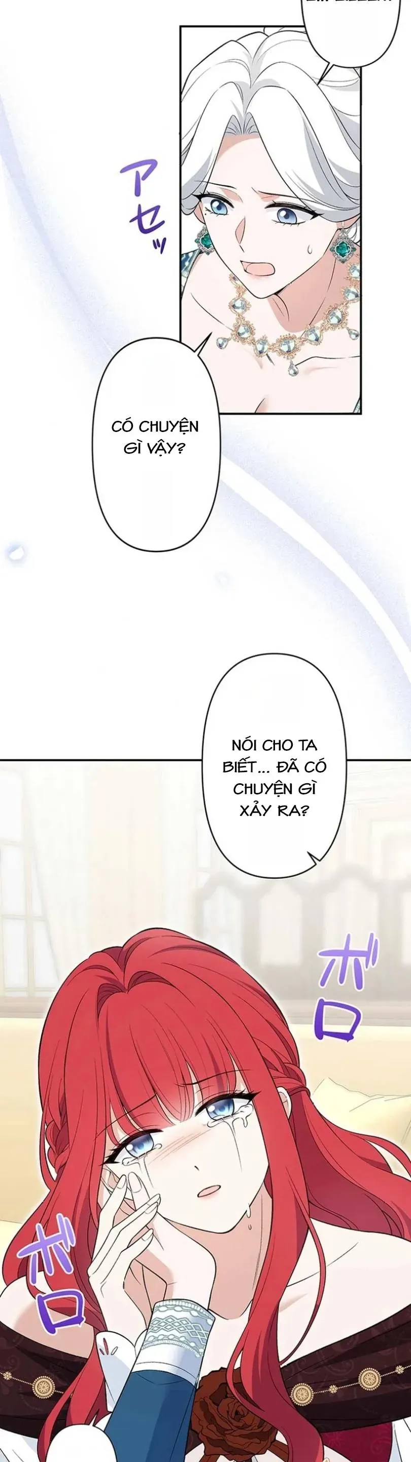 Đảo Ngược Cục Diện Gỡ Bỏ Kết Oán Với Bạo Chúa Chapter 2 - Trang 28