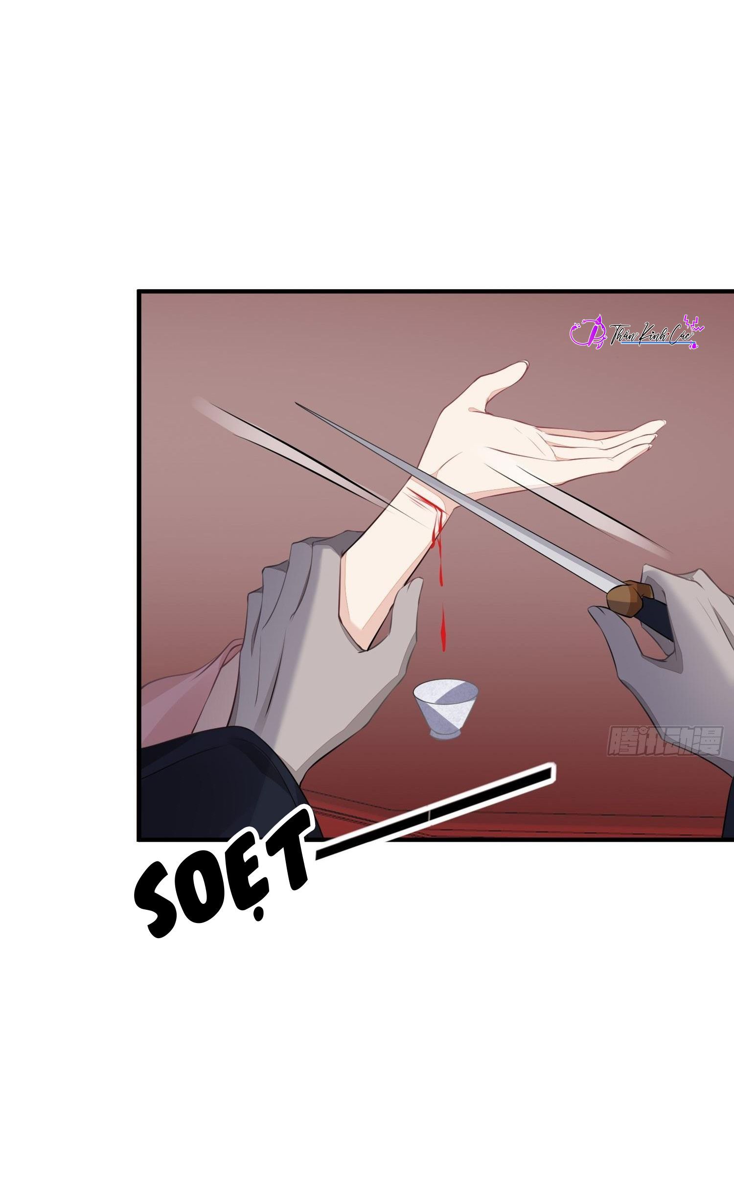 Dập Hoa Lục Chapter 20 - Trang 13
