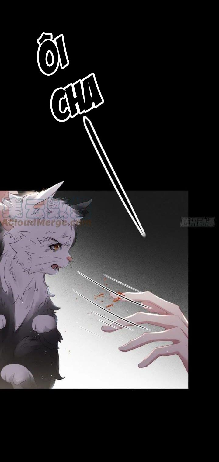 Dập Hoa Lục Chapter 46 - Trang 24