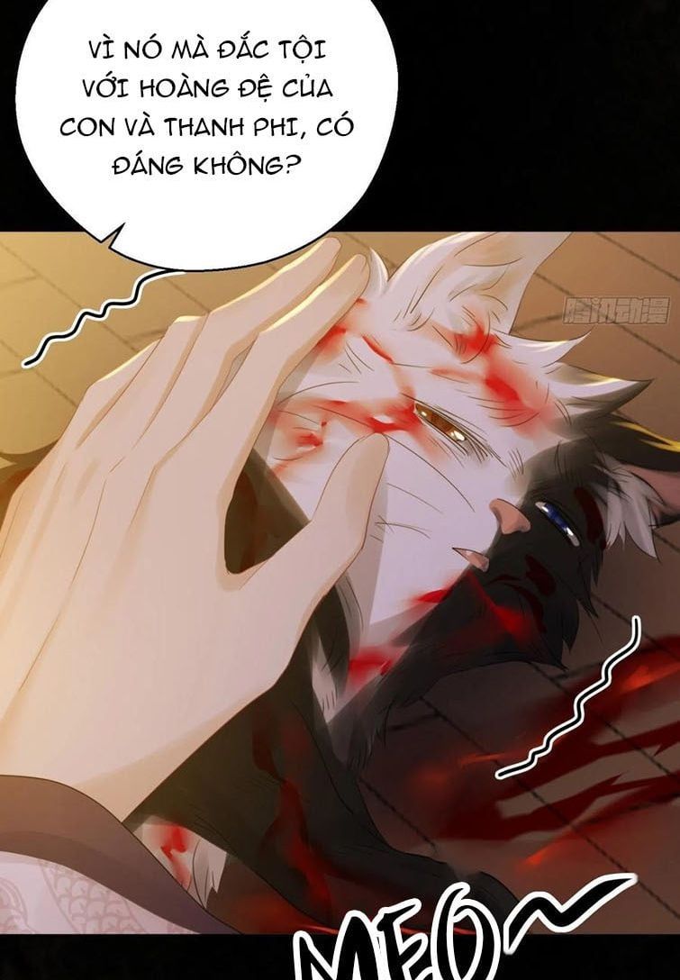 Dập Hoa Lục Chapter 52 - Trang 9