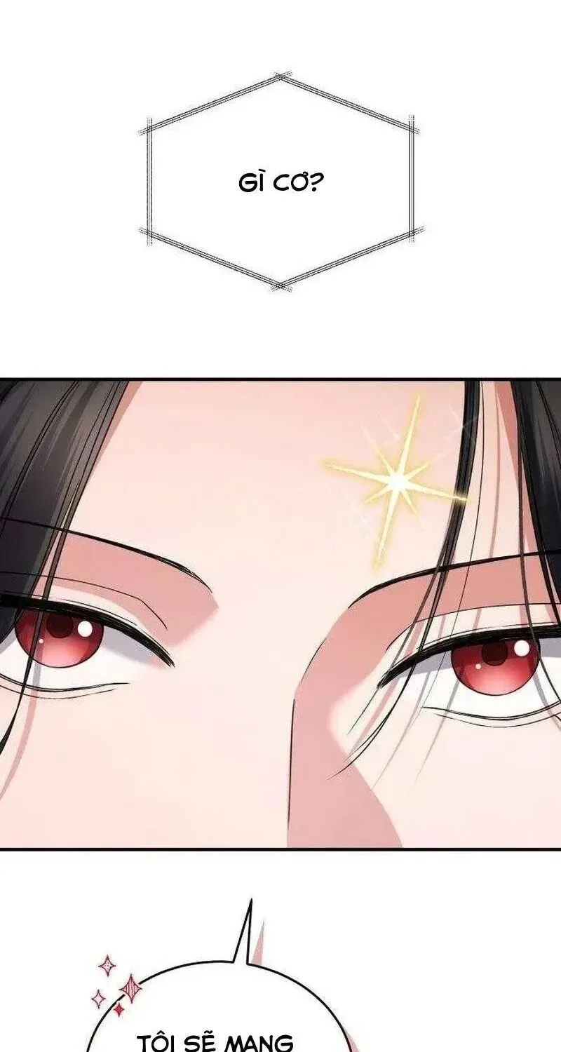 Dấu Ấn Hậu Thuẫn Chapter 18 - Trang 11