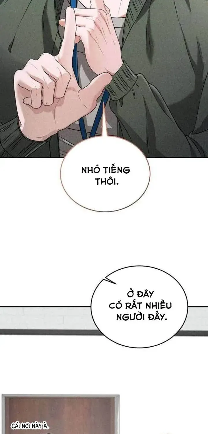 Dấu Ấn Hậu Thuẫn Chapter 6 - Trang 13