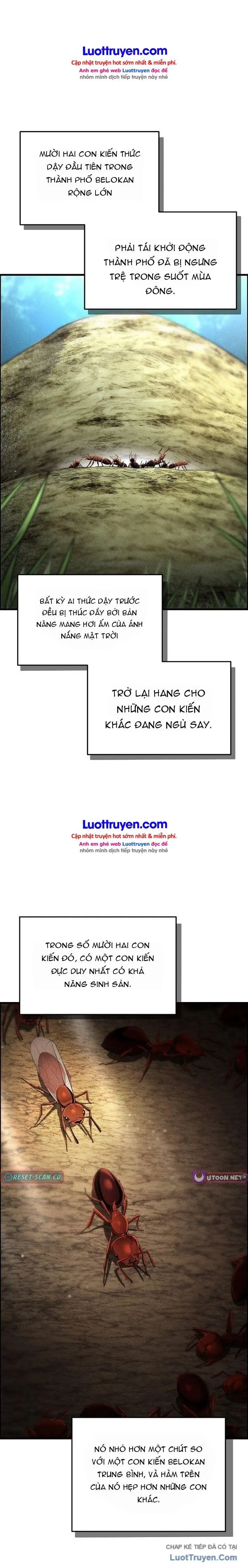 Đế Chế Loài Kiến Chapter 2 - Trang 38