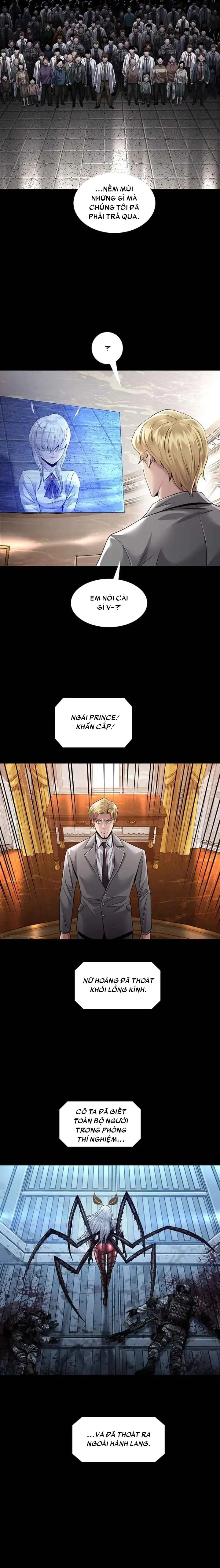 Dead Queen Chapter 116 - Trang 11