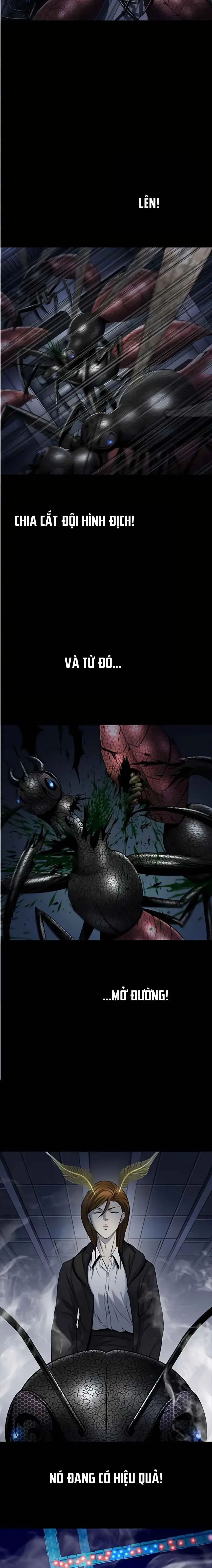 Dead Queen Chapter 188 - Trang 22