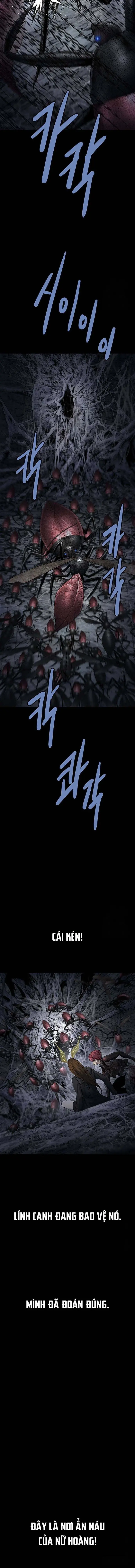 Dead Queen Chapter 193 - Trang 10