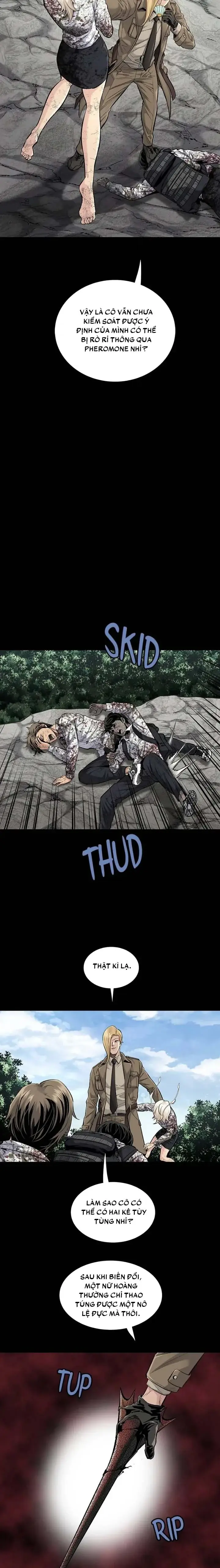 Dead Queen Chapter 46 - Trang 17