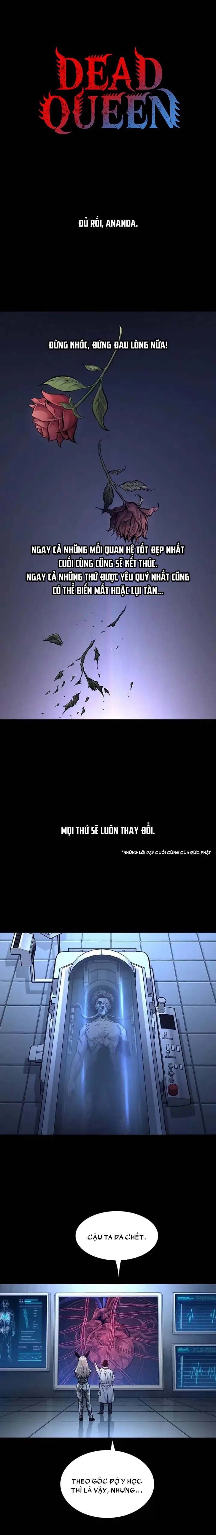 Dead Queen Chapter 66 - Trang 4