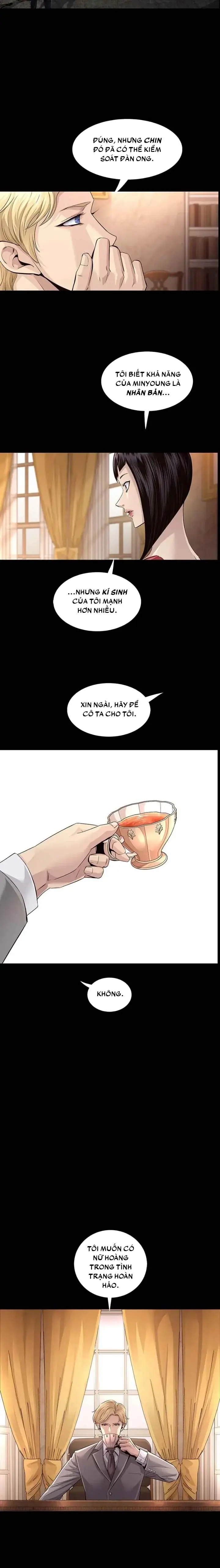 Dead Queen Chapter 95 - Trang 8