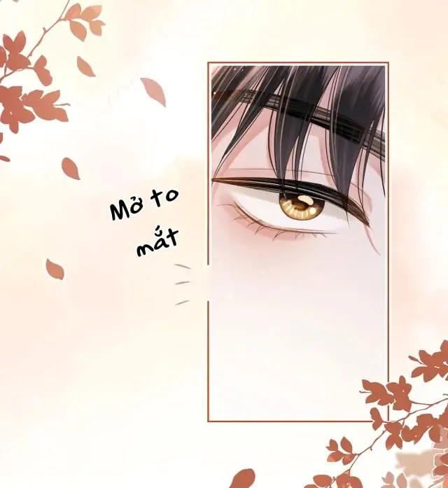 Debussy lover Chapter 10 - Trang 17